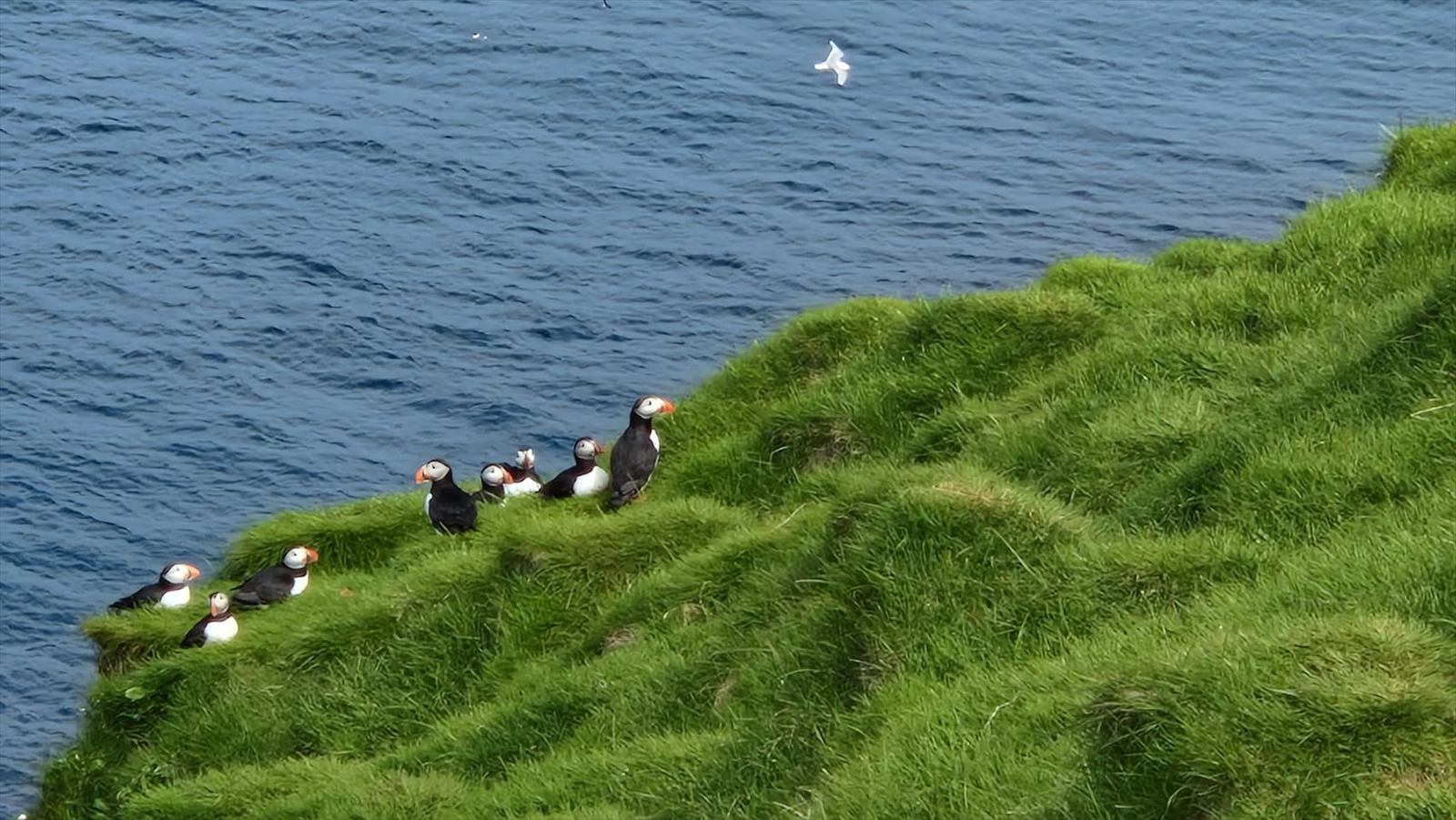 Titulní fotografie ke článku Květen 2022 Island, den desátý