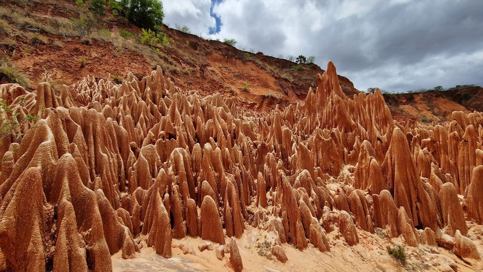 Titulní fotografie ke článku Madagaskar Říjen 2022, den pátý